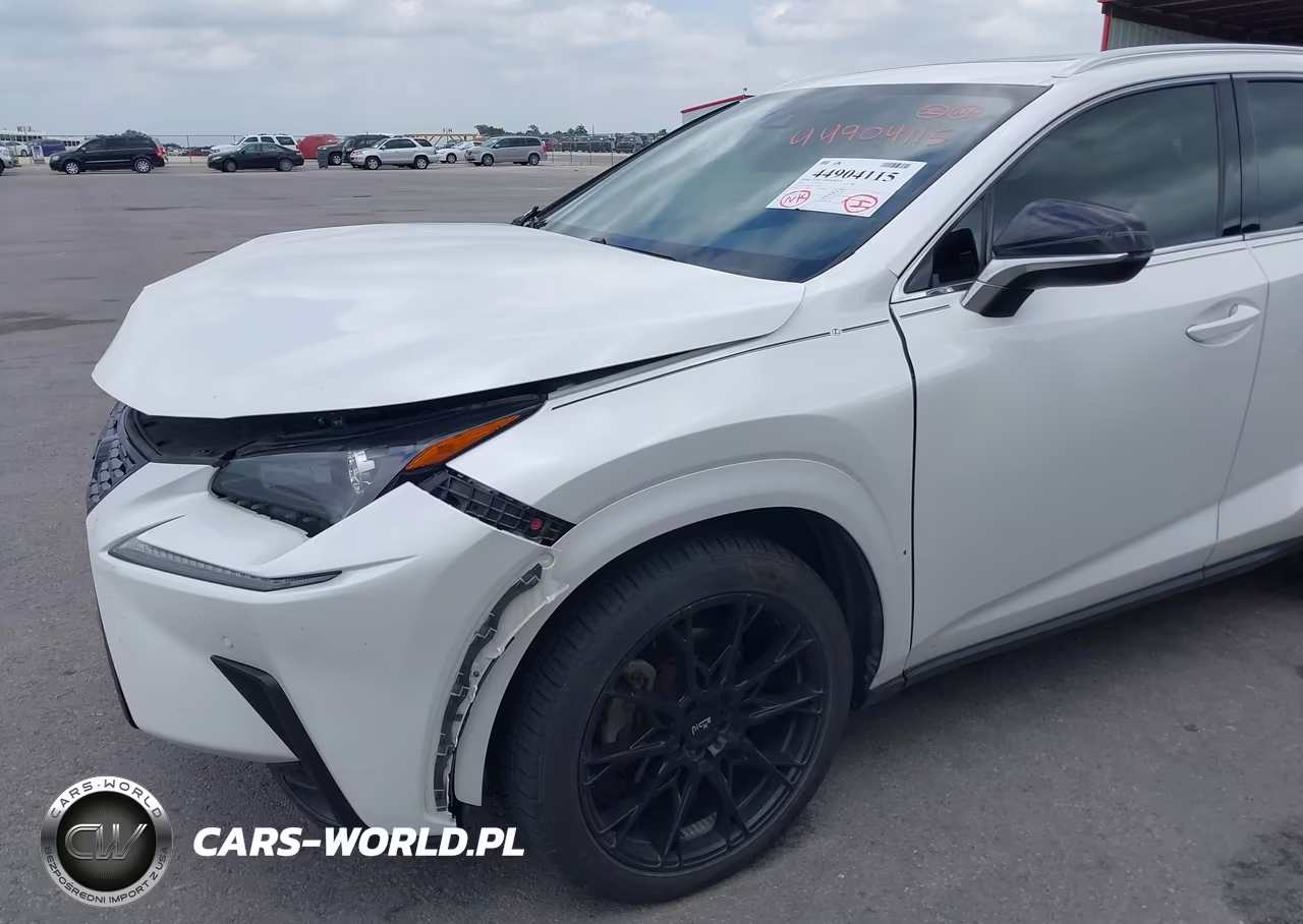 2020 Lexus Nx 300 VIN:JTJGARBZ9L2170603 - 17