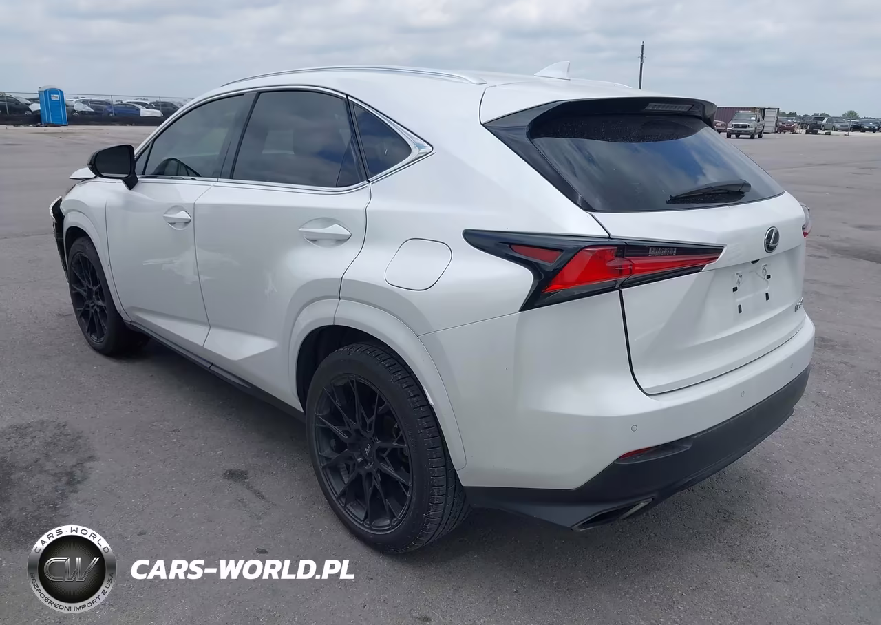 2020 Lexus Nx 300 VIN:JTJGARBZ9L2170603 - 3