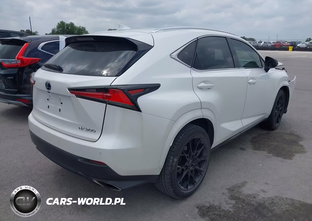 2020 Lexus Nx 300 VIN:JTJGARBZ9L2170603 - 4