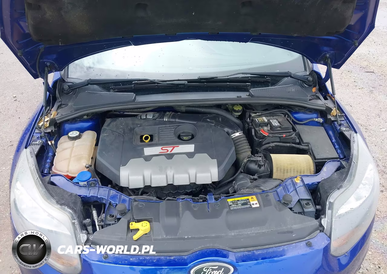 2013 Ford Focus St VIN:1FADP3L98DL176622 - 10