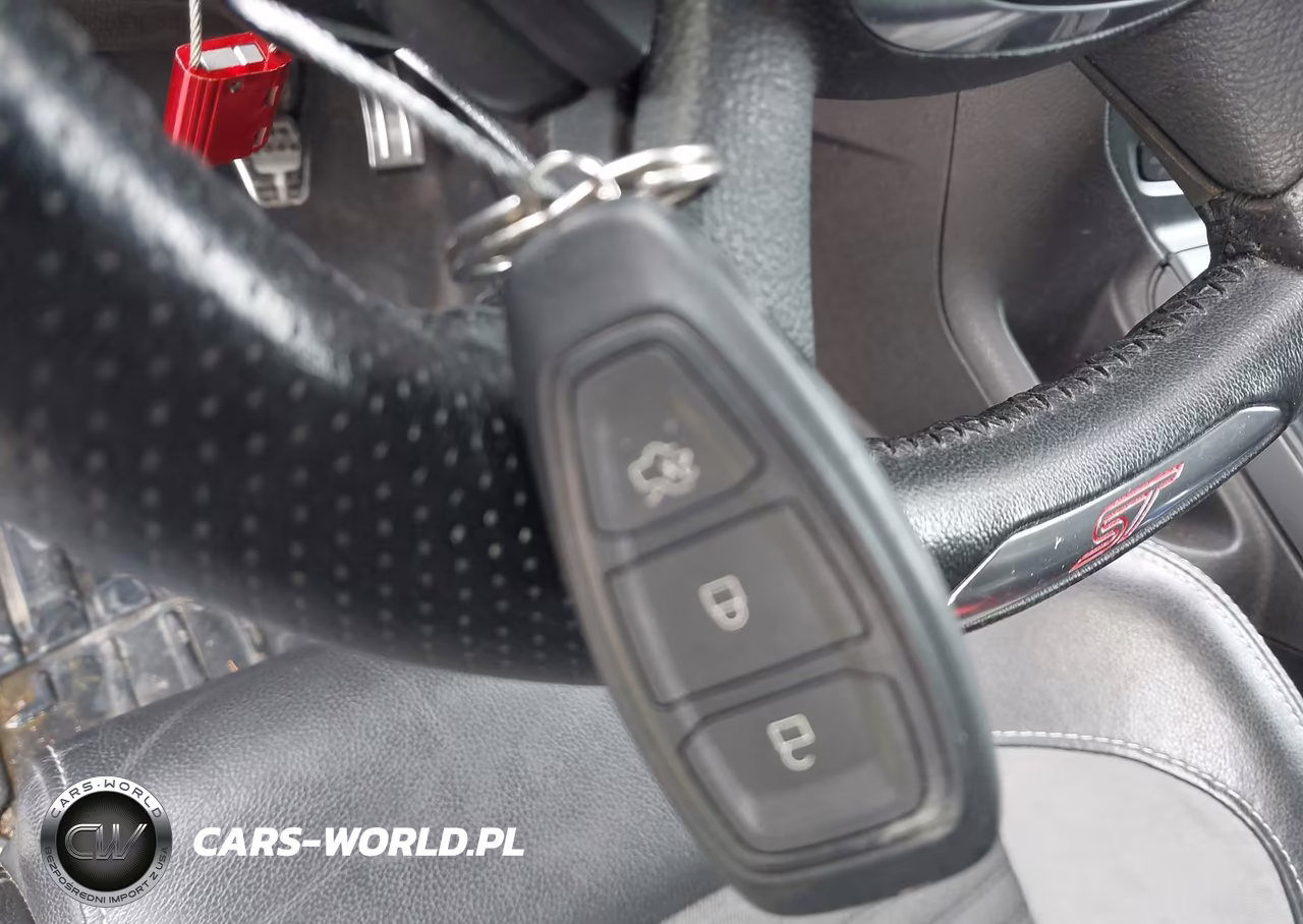2013 Ford Focus St VIN:1FADP3L98DL176622 - 11