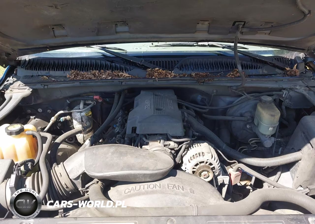 2000 Chevrolet Silverado 1500 Lt VIN:1GCEK19T5YE123391 - 10