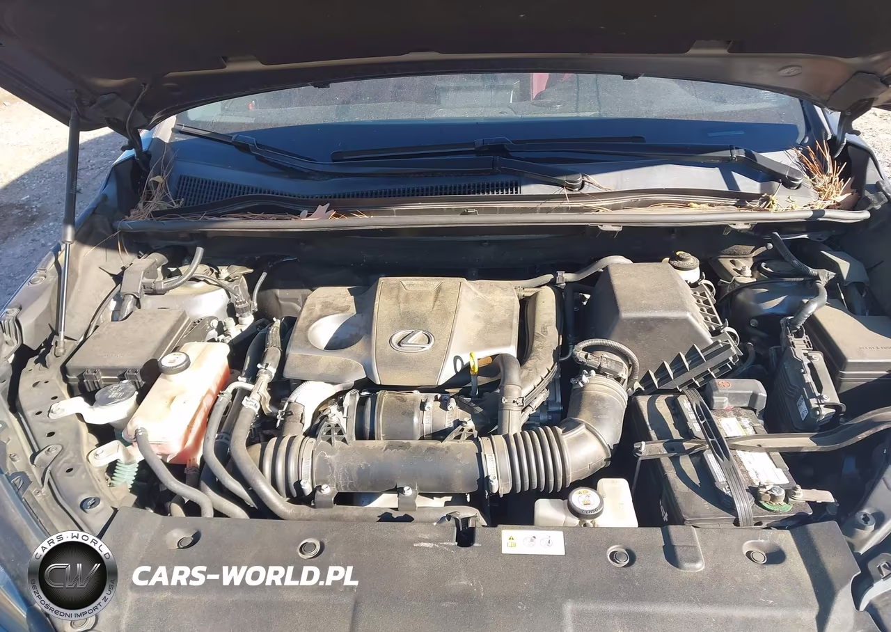2017 Lexus Nx 200T F Sport VIN:JTJYARBZ4H2052843 - 10
