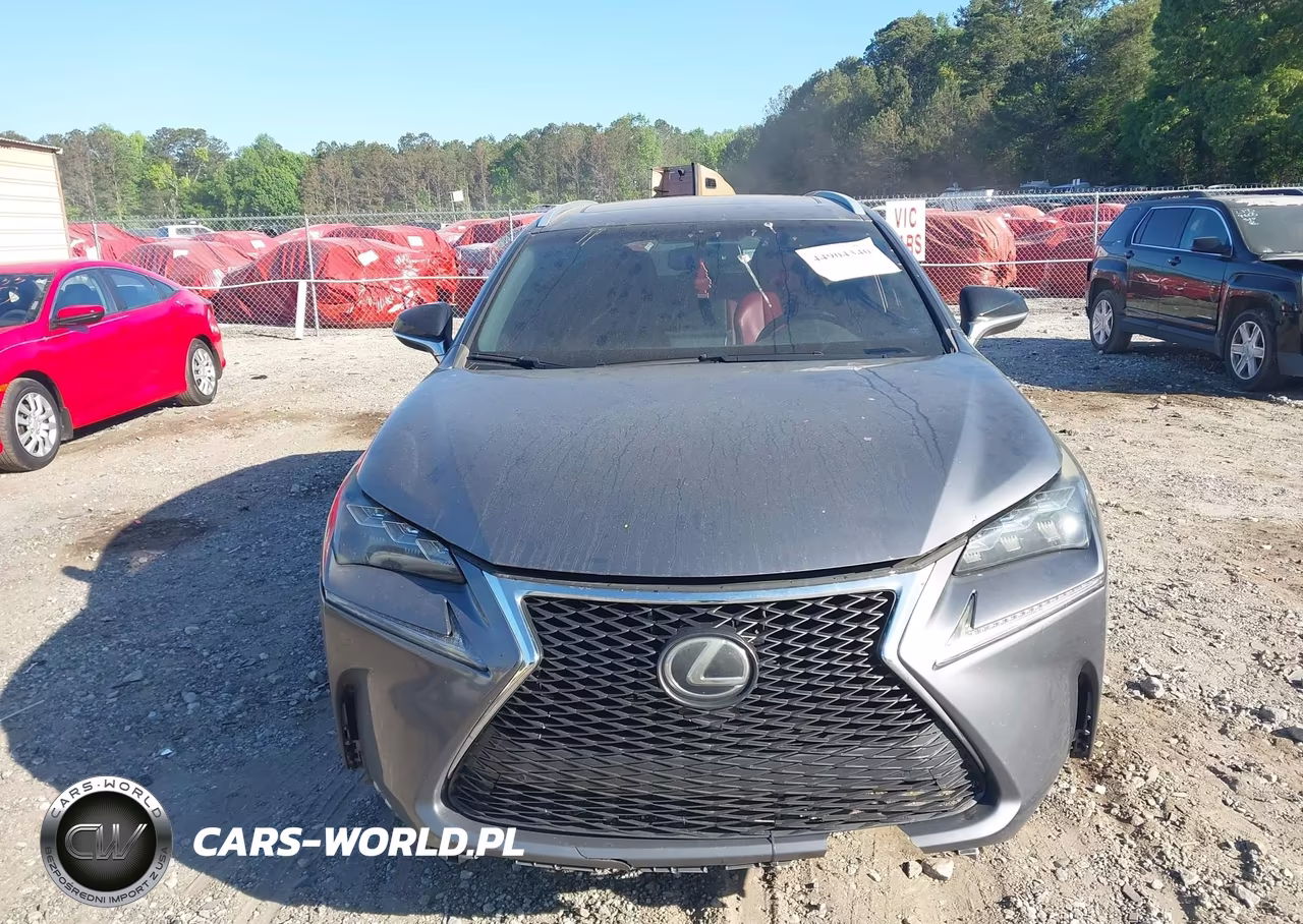 2017 Lexus Nx 200T F Sport VIN:JTJYARBZ4H2052843 - 12