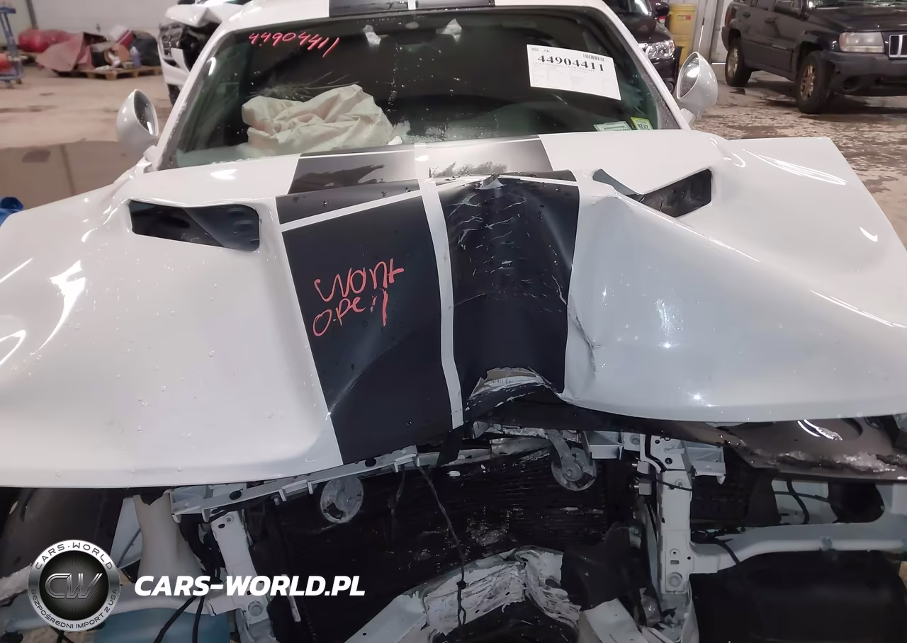 2019 Dodge Challenger Sxt VIN:2C3CDZAG5KH632609 - 10