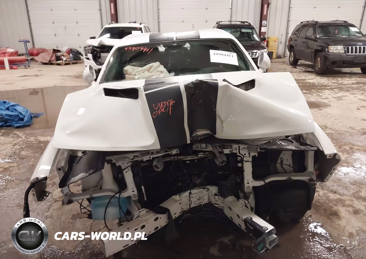 2019 Dodge Challenger Sxt VIN:2C3CDZAG5KH632609 - 11