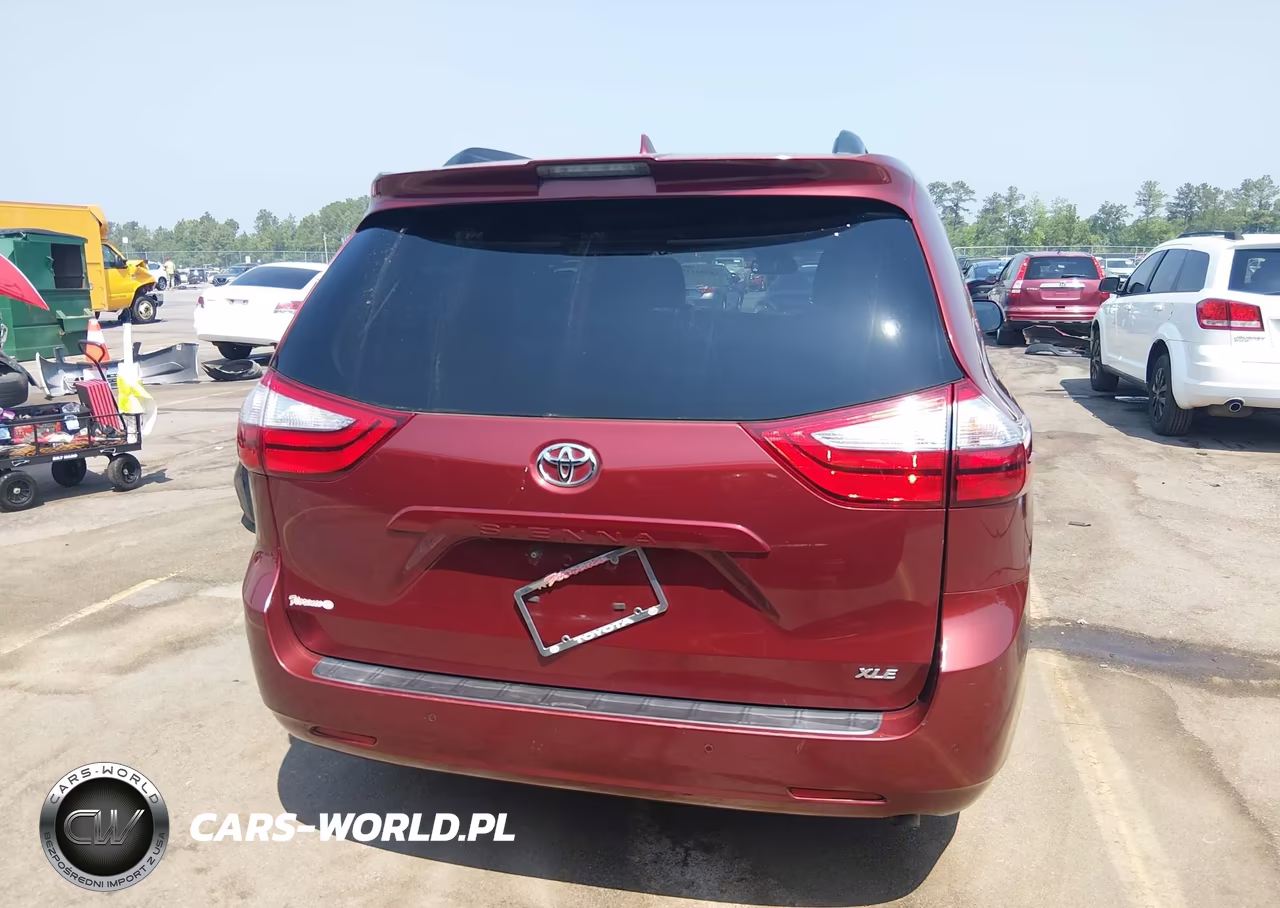 2019 Toyota Sienna Xle 8 Passenger VIN:5TDYZ3DCXKS005852 - 17
