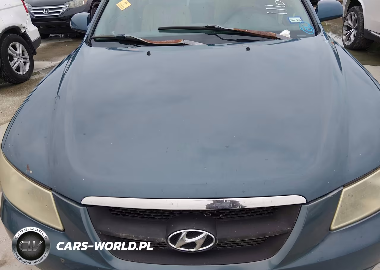 2006 Hyundai Sonata Gls V6-Lx V6 VIN:5NPEU46F56H116108 - 10