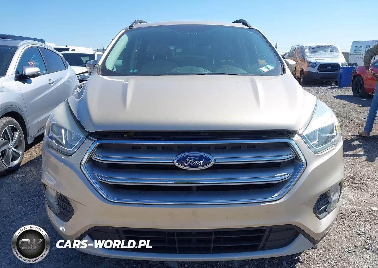 2017 Ford Escape Se VIN:1FMCU9GDXHUB56142 - 12