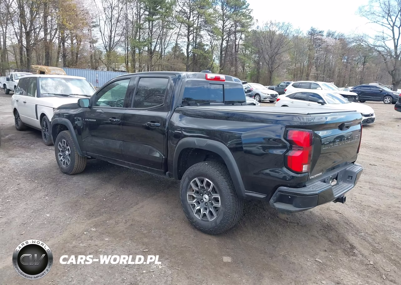 2024 Chevrolet Colorado 4Wd Z71 VIN:1GCPTDEK6R1118584 - 3