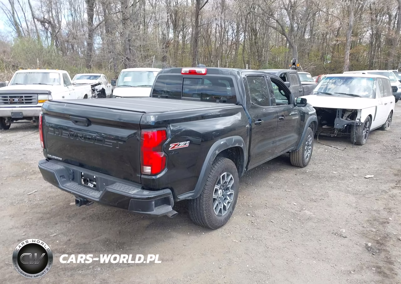 2024 Chevrolet Colorado 4Wd Z71 VIN:1GCPTDEK6R1118584 - 4