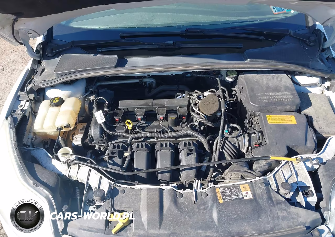 2014 Ford Focus Se VIN:1FADP3F2XEL446515 - 10