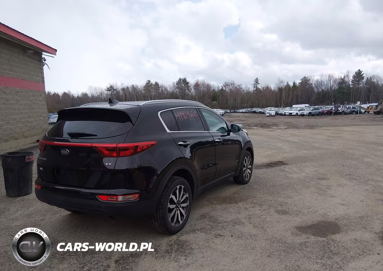 2017 Kia Sportage Ex VIN:KNDPNCAC2H7208734 - 4