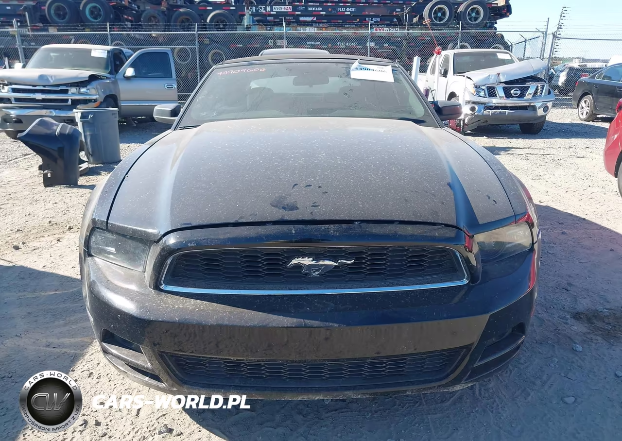 2010 Ford Mustang V6-V6 Premium VIN:1ZVBP8EN3A5177649 - 12