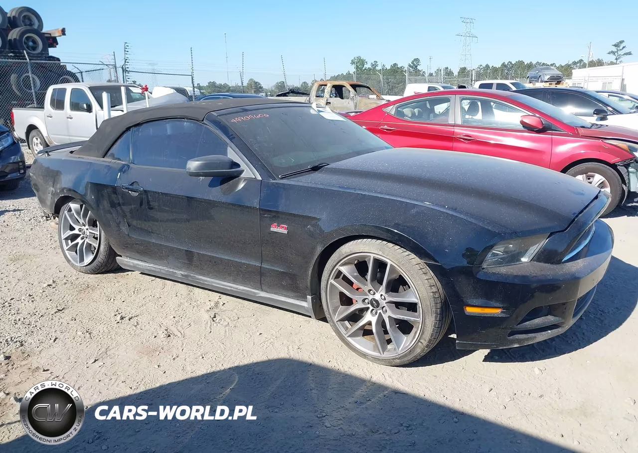 2010 Ford Mustang V6-V6 Premium VIN:1ZVBP8EN3A5177649 - 13