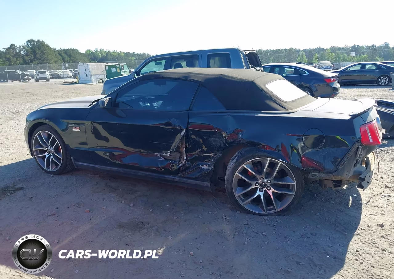 2010 Ford Mustang V6-V6 Premium VIN:1ZVBP8EN3A5177649 - 14