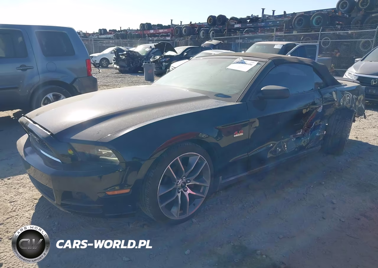 2010 Ford Mustang V6-V6 Premium VIN:1ZVBP8EN3A5177649 - 2