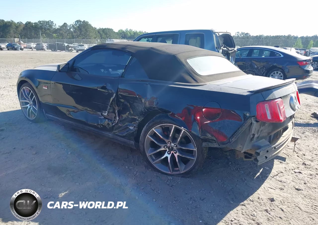 2010 Ford Mustang V6-V6 Premium VIN:1ZVBP8EN3A5177649 - 3