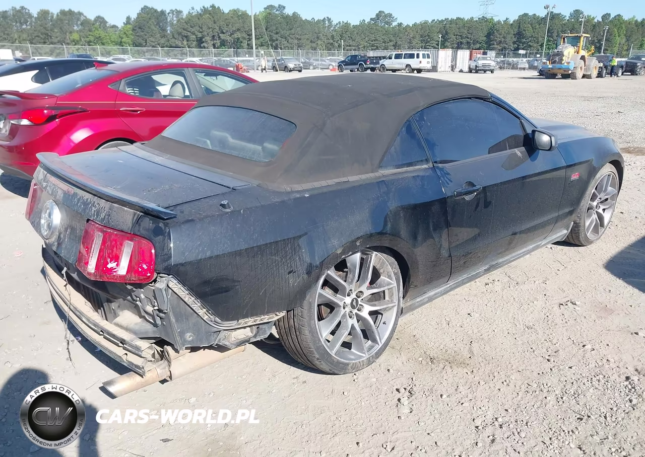 2010 Ford Mustang V6-V6 Premium VIN:1ZVBP8EN3A5177649 - 4