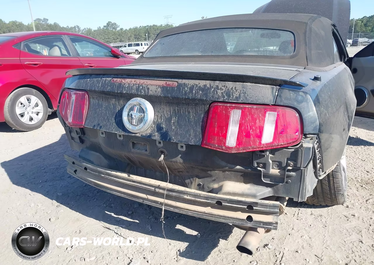 2010 Ford Mustang V6-V6 Premium VIN:1ZVBP8EN3A5177649 - 6
