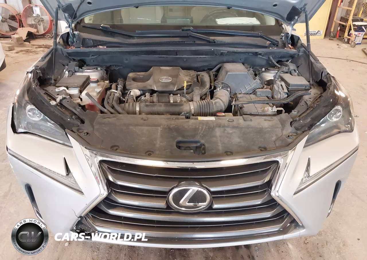 2016 Lexus Nx 200T VIN:JTJBARBZ5G2079523 - 10