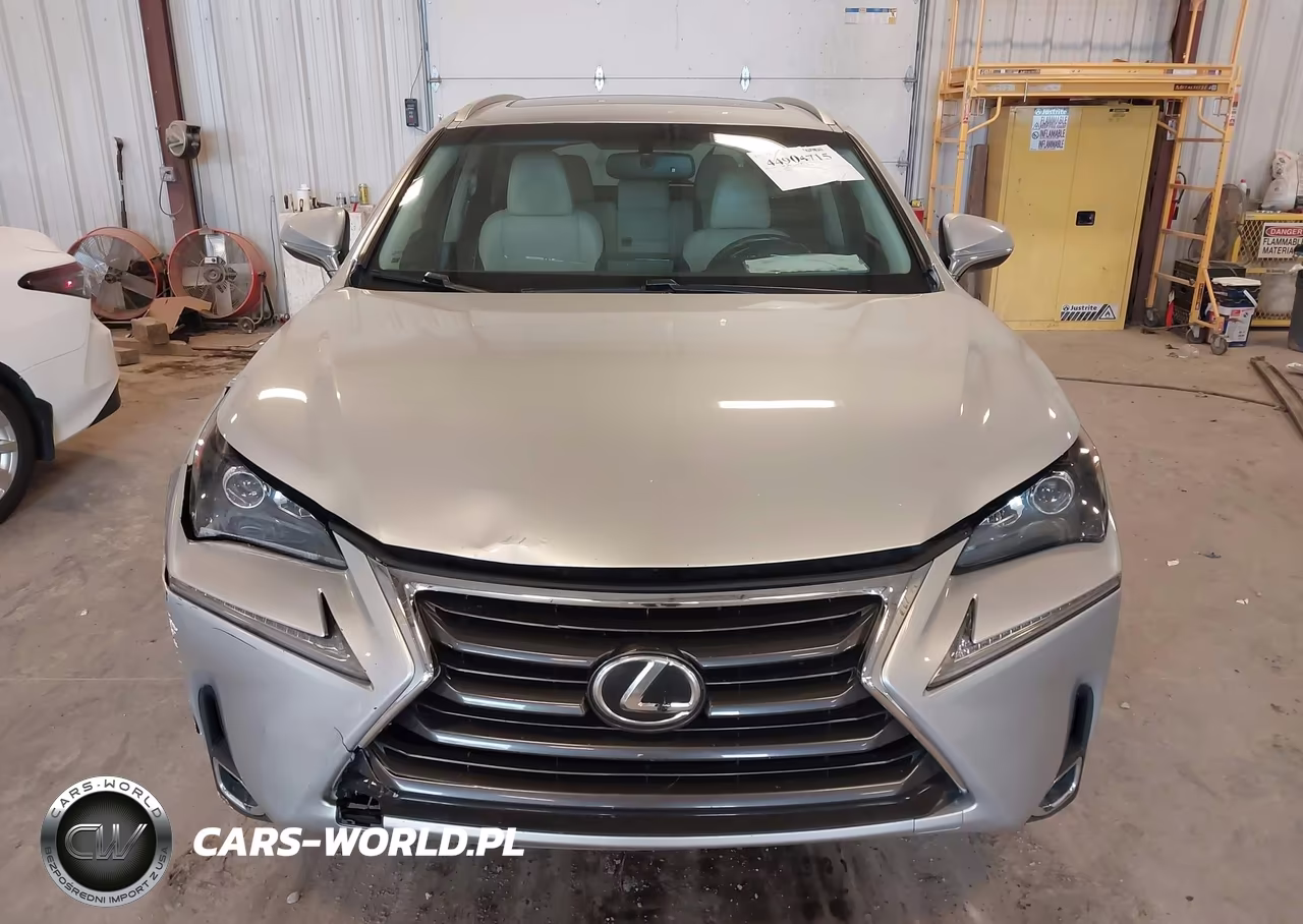 2016 Lexus Nx 200T VIN:JTJBARBZ5G2079523 - 12
