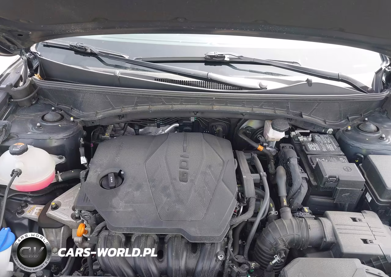 2023 Hyundai Tucson Limited VIN:5NMJECAE0PH285665 - 10