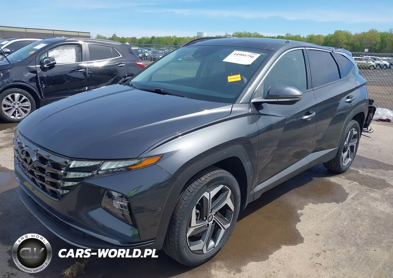 2023 Hyundai Tucson Limited VIN:5NMJECAE0PH285665 - 2
