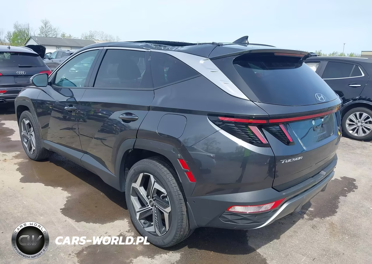 2023 Hyundai Tucson Limited VIN:5NMJECAE0PH285665 - 3