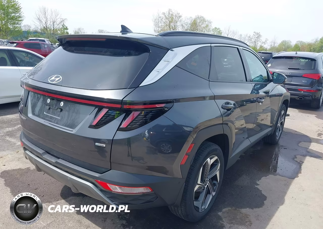 2023 Hyundai Tucson Limited VIN:5NMJECAE0PH285665 - 4