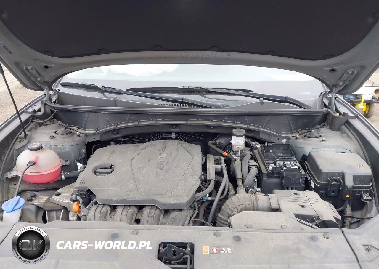 2024 Hyundai Tucson Sel VIN:5NMJBCDE5RH316318 - 10