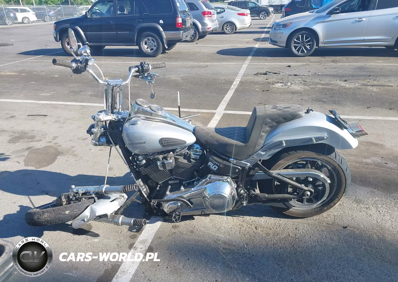 2019 Harley-Davidson Fxlr VIN:1HD1YNJ2XKB072176 - 12