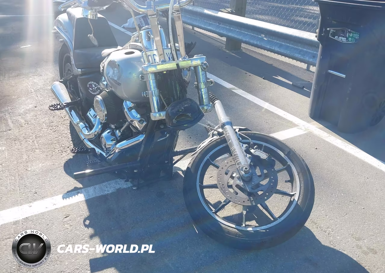 2019 Harley-Davidson Fxlr VIN:1HD1YNJ2XKB072176 - 13