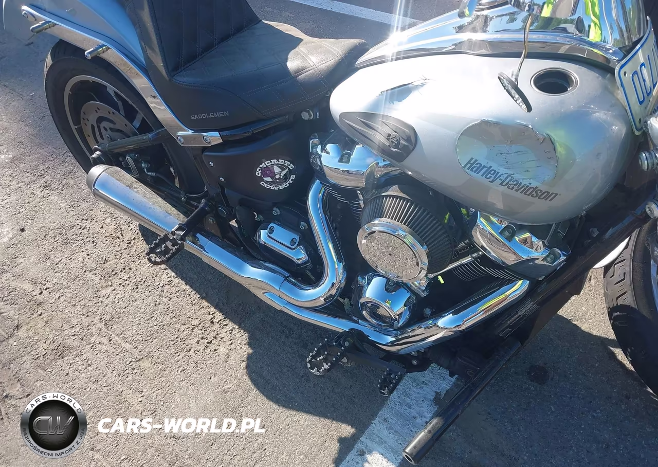 2019 Harley-Davidson Fxlr VIN:1HD1YNJ2XKB072176 - 14