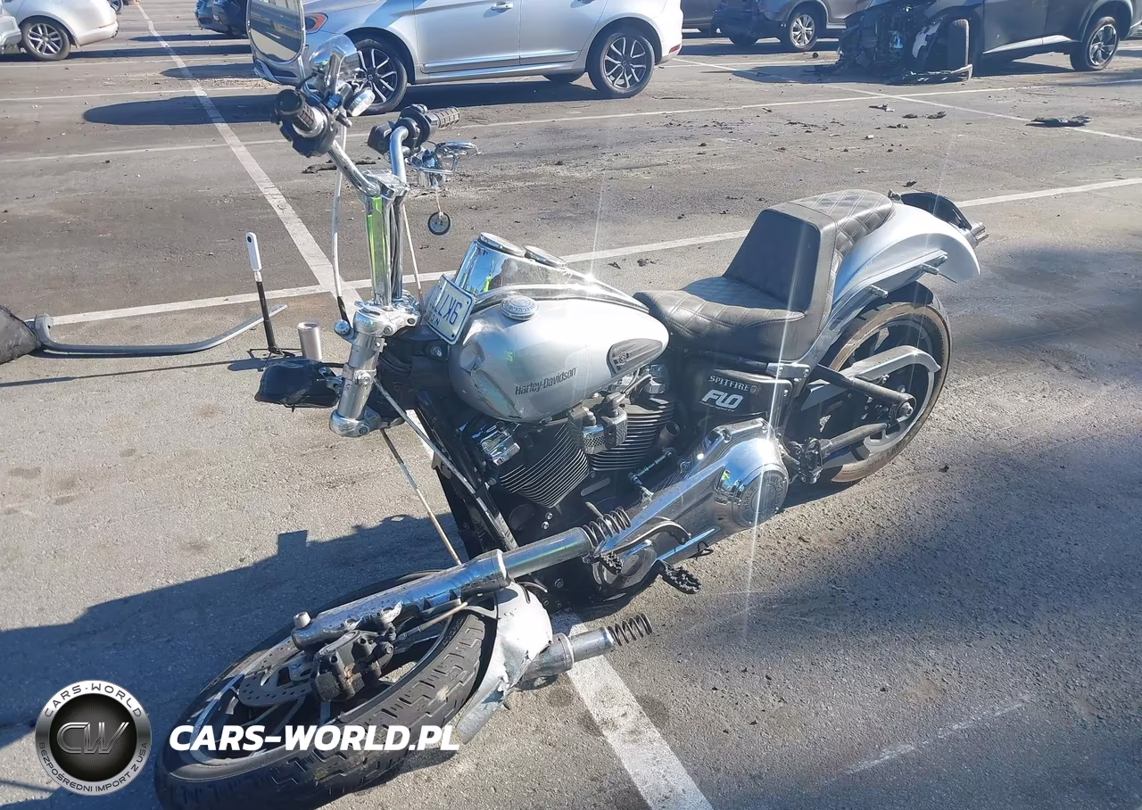 2019 Harley-Davidson Fxlr VIN:1HD1YNJ2XKB072176 - 2