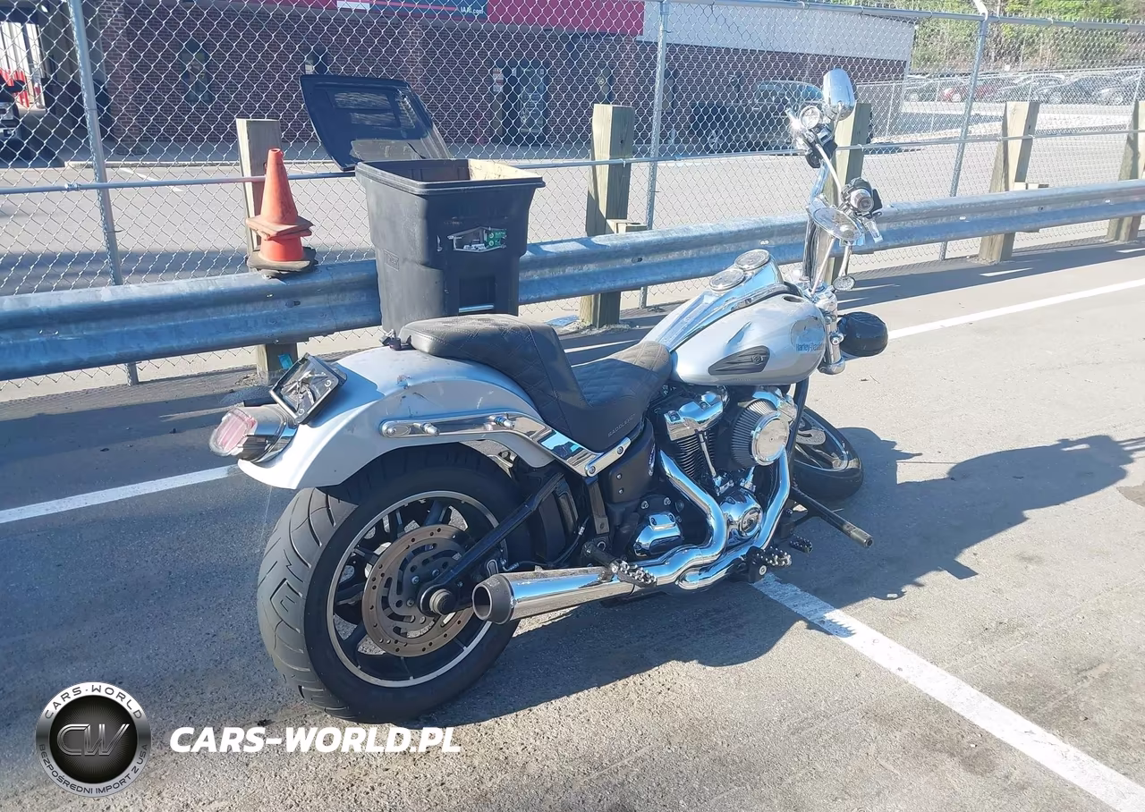 2019 Harley-Davidson Fxlr VIN:1HD1YNJ2XKB072176 - 4