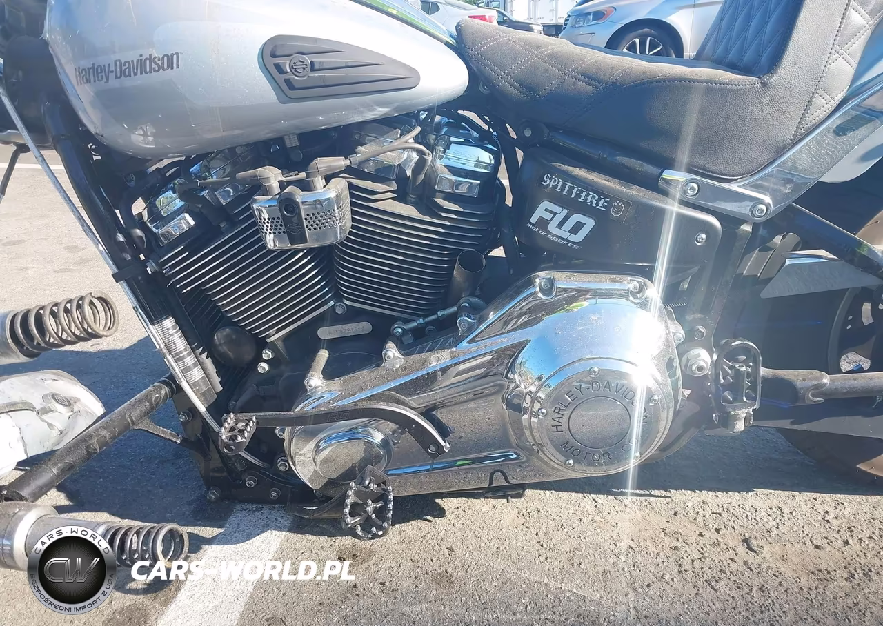 2019 Harley-Davidson Fxlr VIN:1HD1YNJ2XKB072176 - 9
