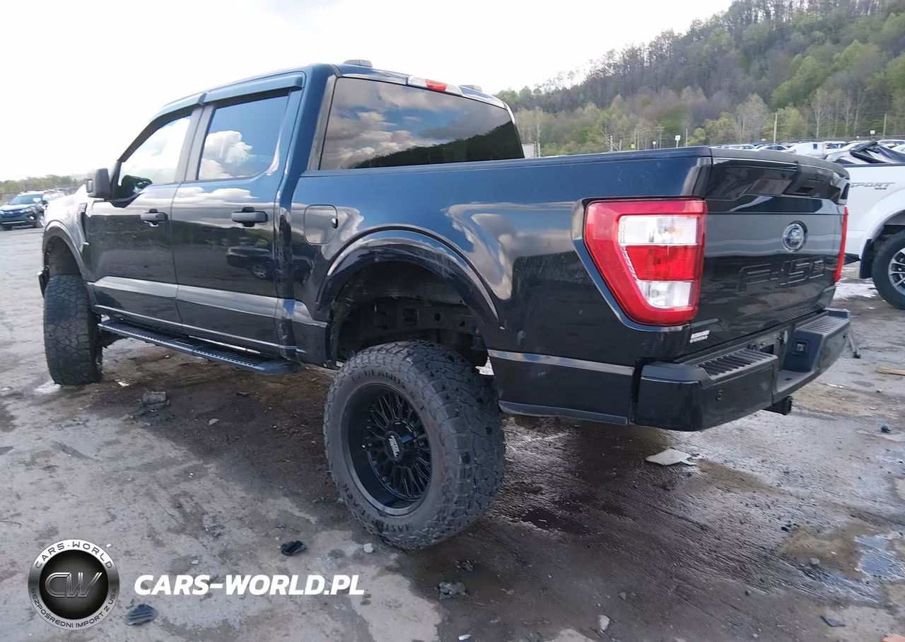 2023 Ford F-150 Xl VIN:1FTFW1E54PFA68215 - 3