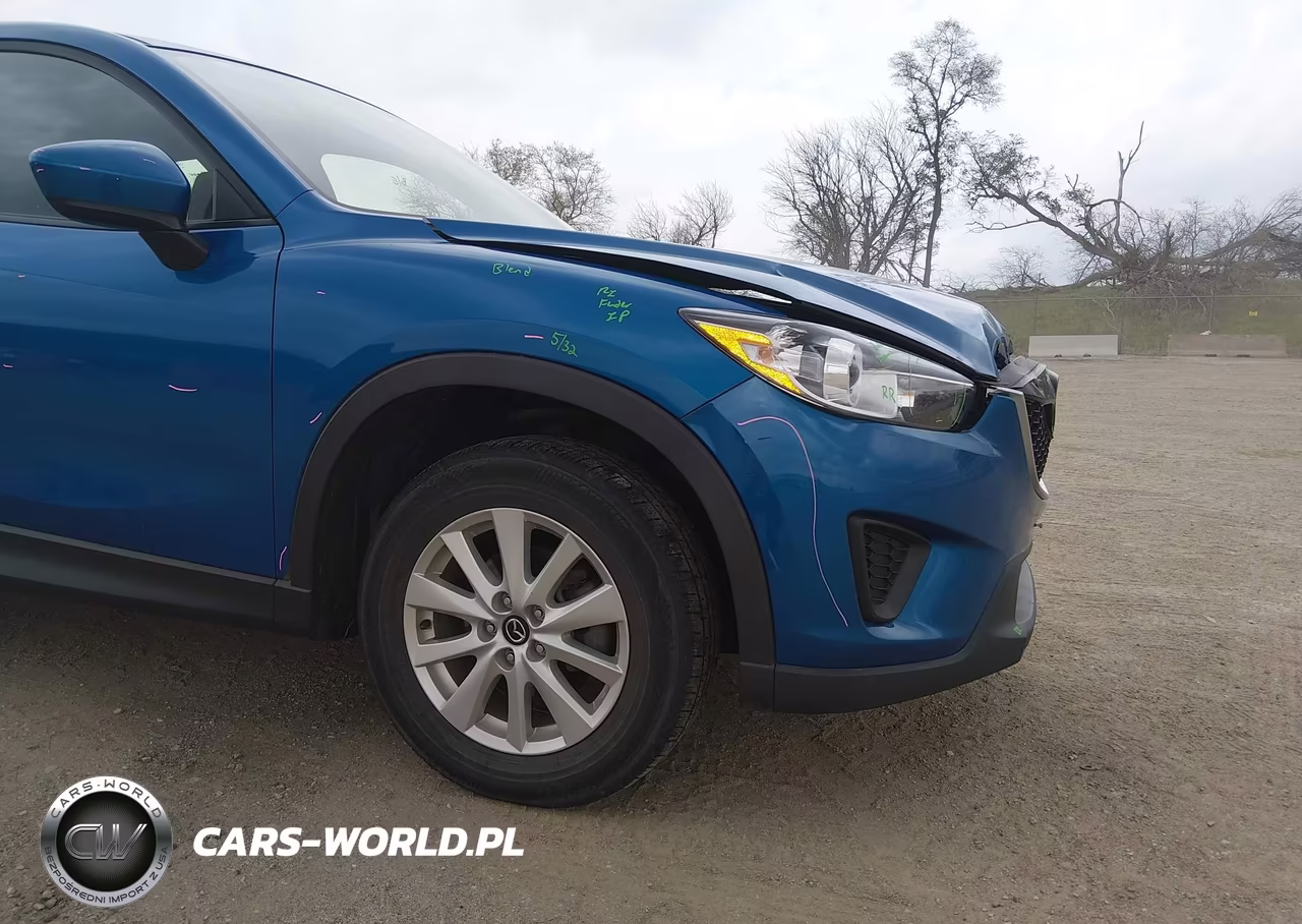 2014 Mazda Cx-5 Sport VIN:JM3KE4BE8E0300734 - 19