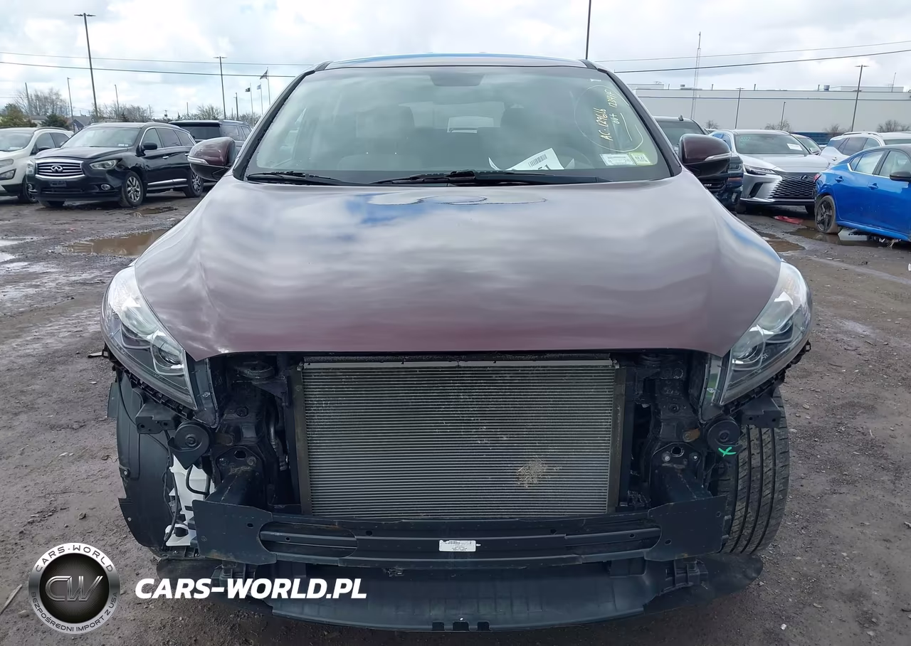 2020 Kia Sorento 2.4L Lx VIN:5XYPGDA30LG652240 - 13