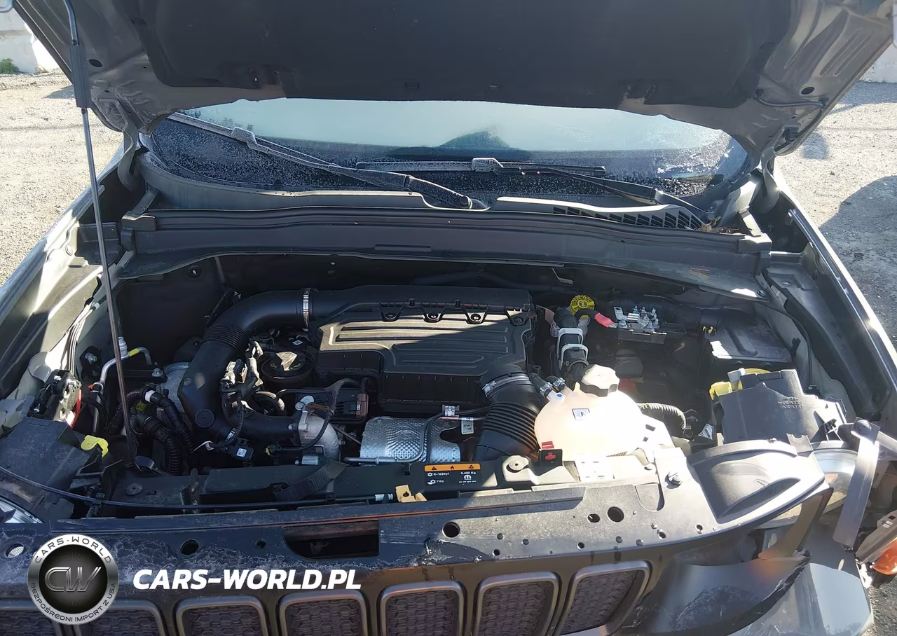 2021 Jeep Renegade Trailhawk 4X4 VIN:ZACNJDC19MPM25793 - 10