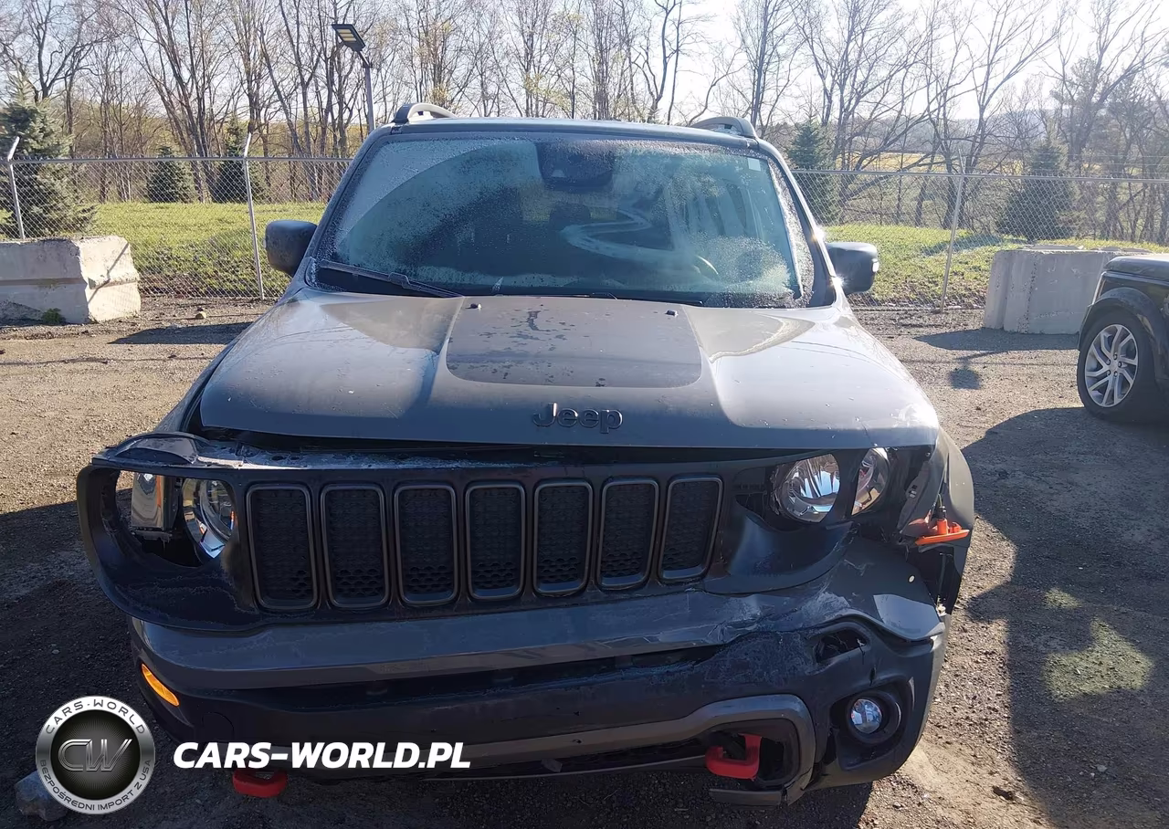 2021 Jeep Renegade Trailhawk 4X4 VIN:ZACNJDC19MPM25793 - 12