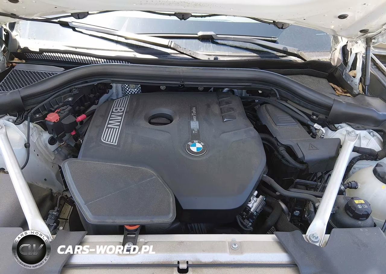 2019 BMW X3 Sdrive30I VIN:5UXTR7C5XKLR48473 - 10