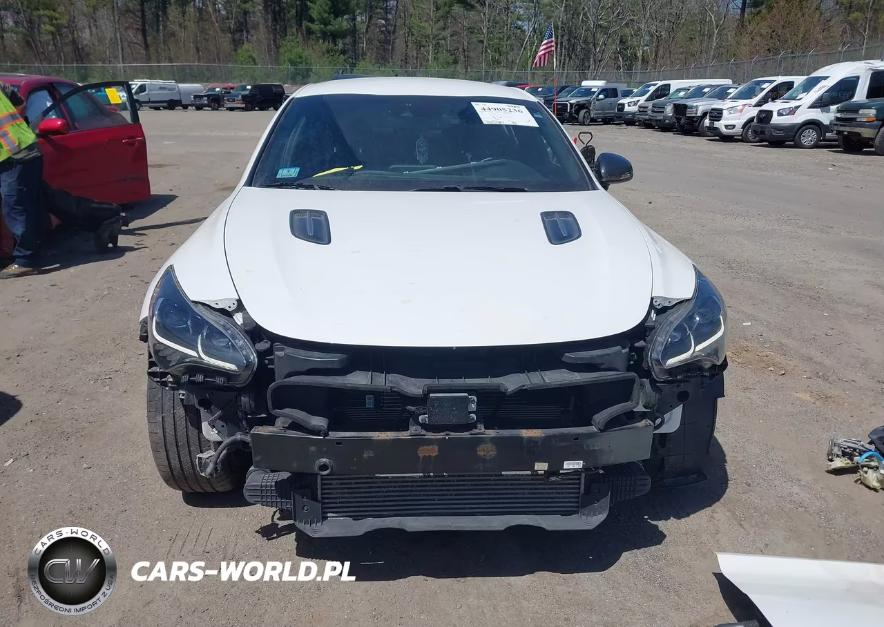 2018 Kia Stinger Gt VIN:KNAE35LCXJ6027136 - 13