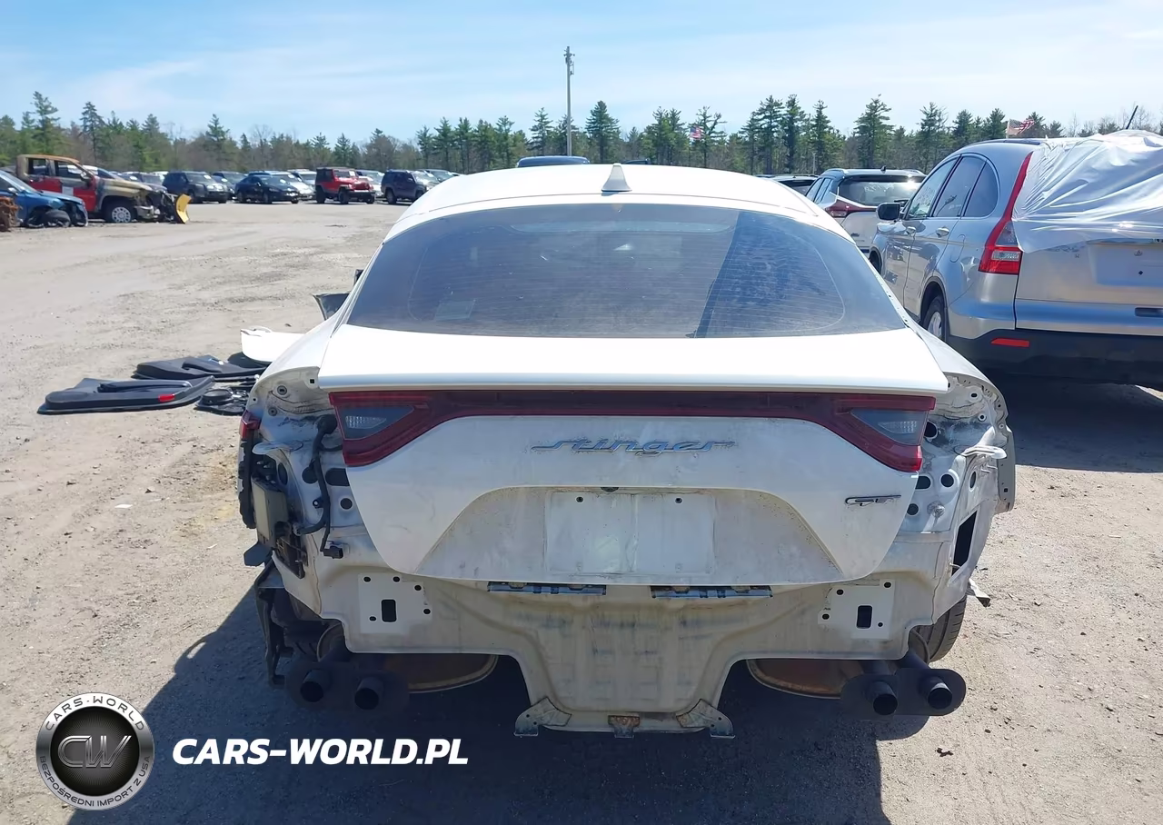 2018 Kia Stinger Gt VIN:KNAE35LCXJ6027136 - 17