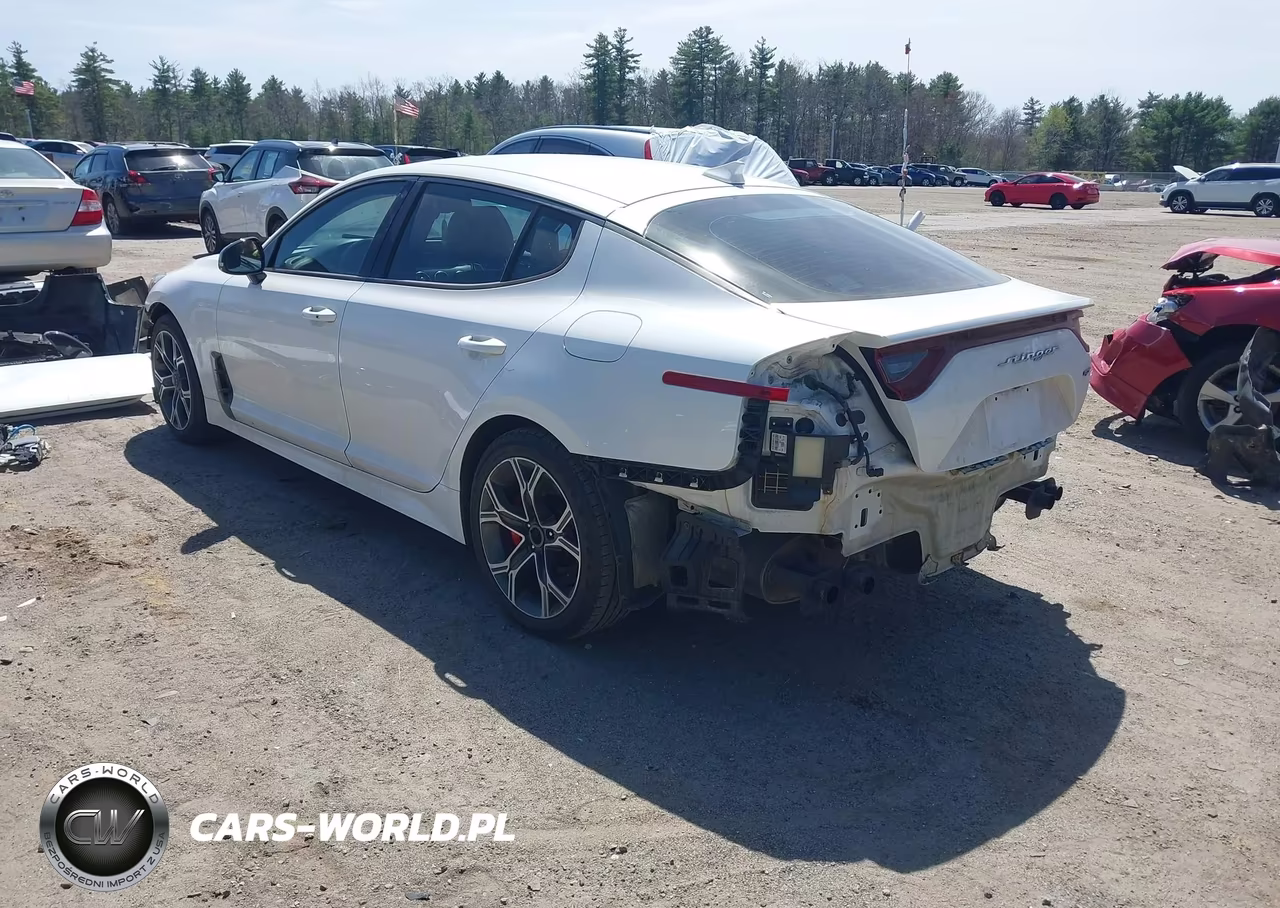 2018 Kia Stinger Gt VIN:KNAE35LCXJ6027136 - 3