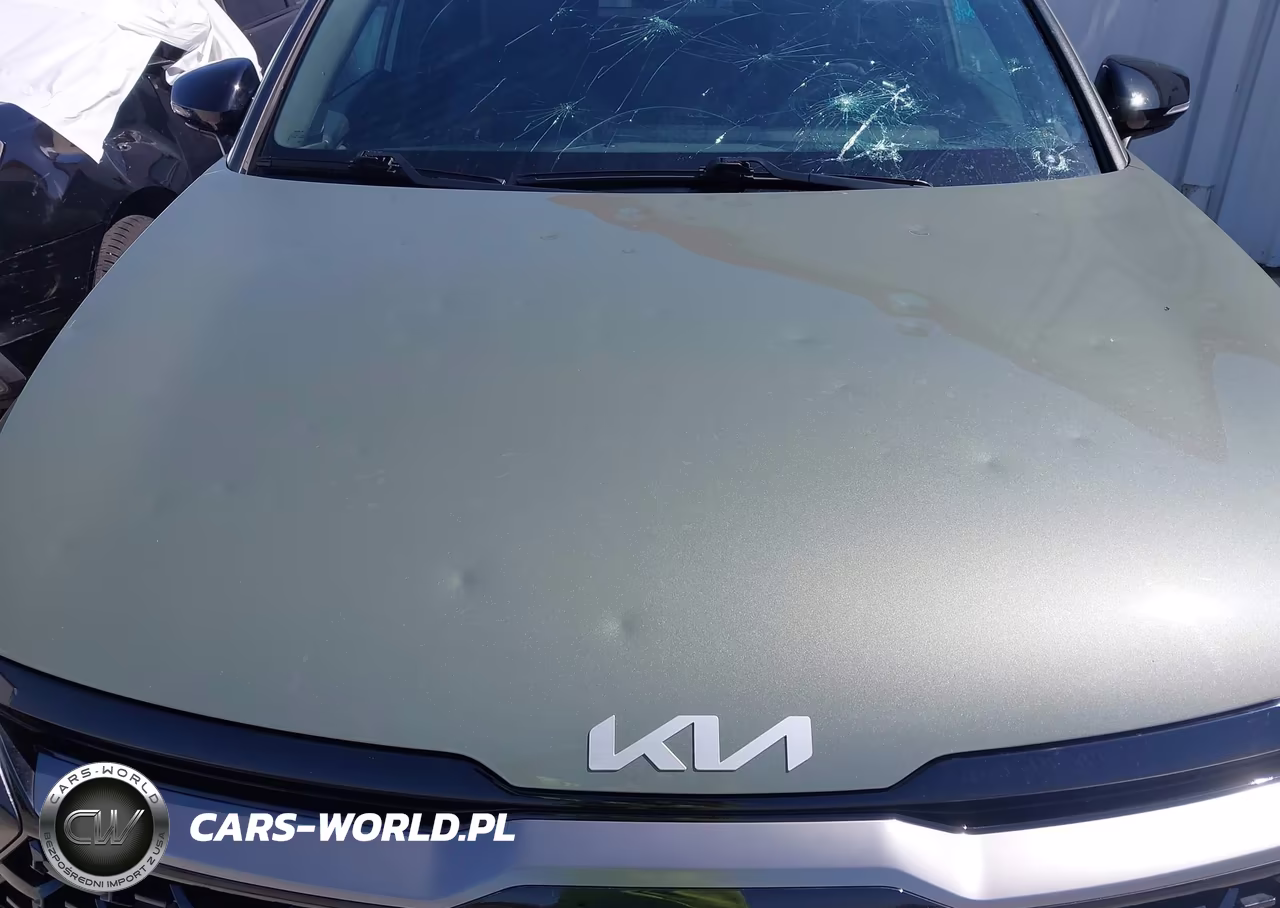 2024 Kia Sportage X-Line VIN:5XYK6CDF0RG176125 - 6