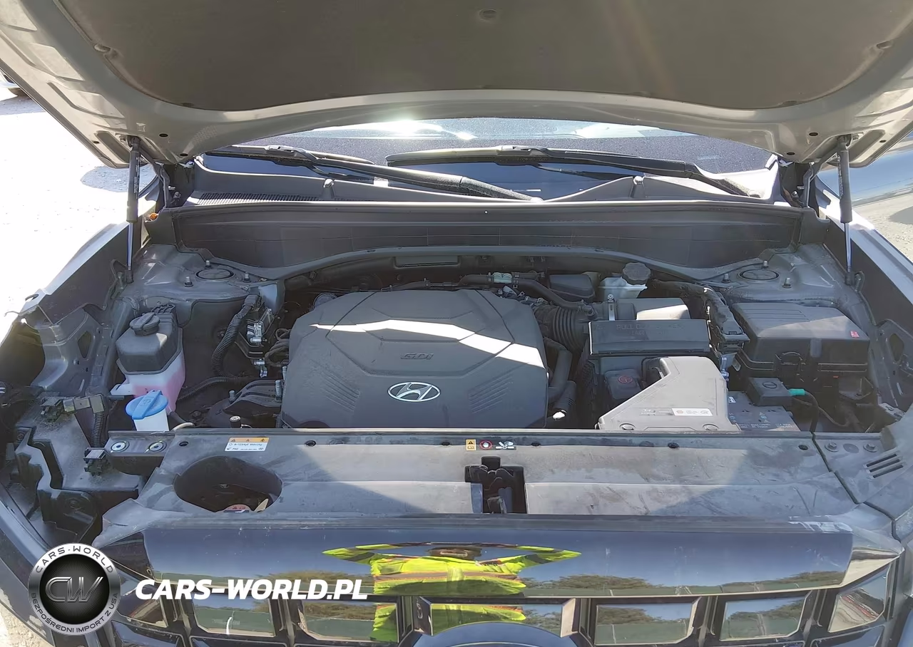2023 Hyundai Palisade Sel VIN:KM8R4DGE1PU593757 - 10
