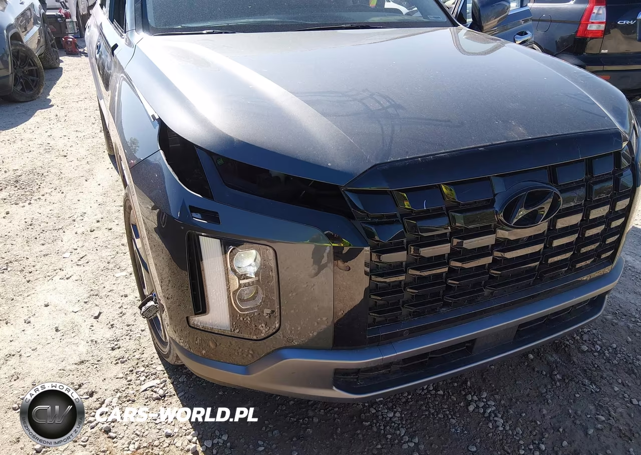 2023 Hyundai Palisade Sel VIN:KM8R4DGE1PU593757 - 21