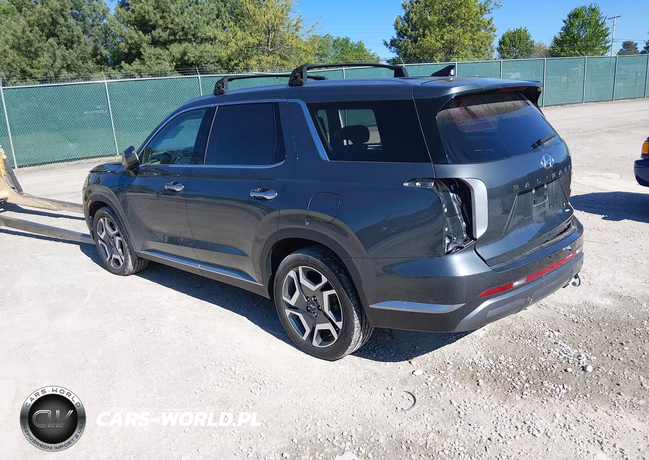 2023 Hyundai Palisade Sel VIN:KM8R4DGE1PU593757 - 3